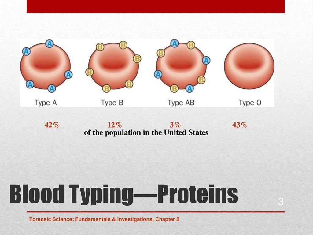 Blood Typing—Proteins - ppt download