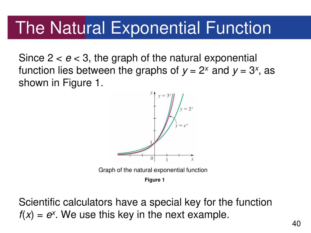 Exponential Functions - ppt download