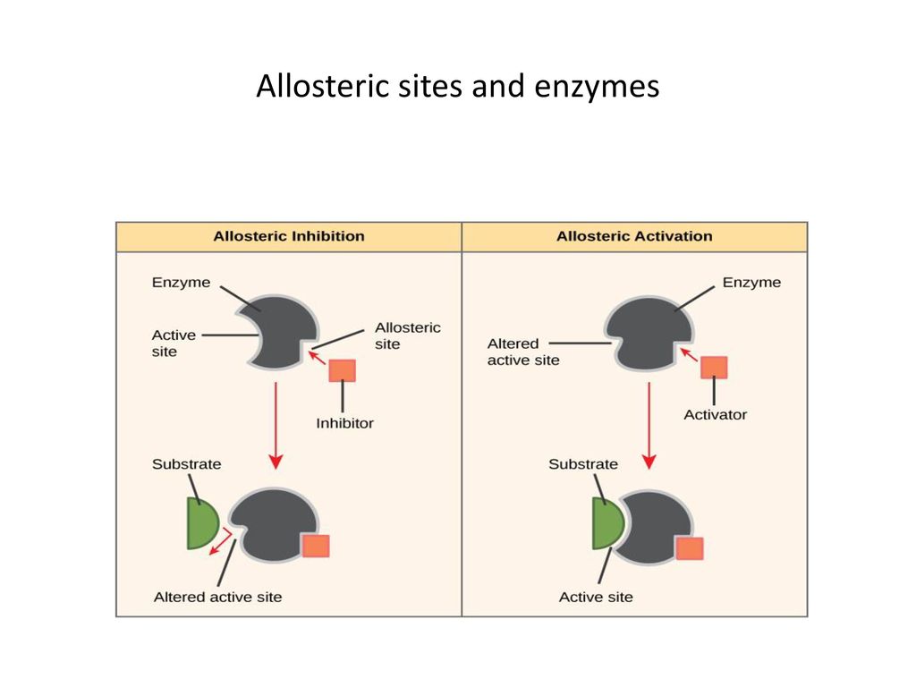 Allosteric sites and enzymes