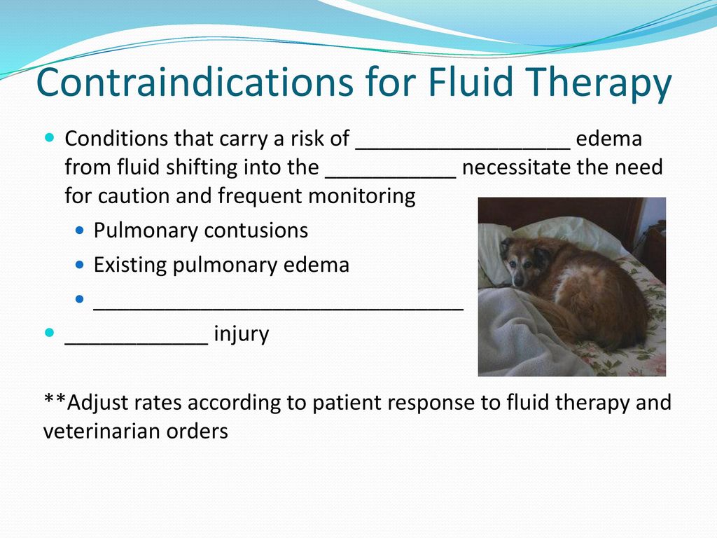 Fluid Therapy in Companion Animals - ppt download