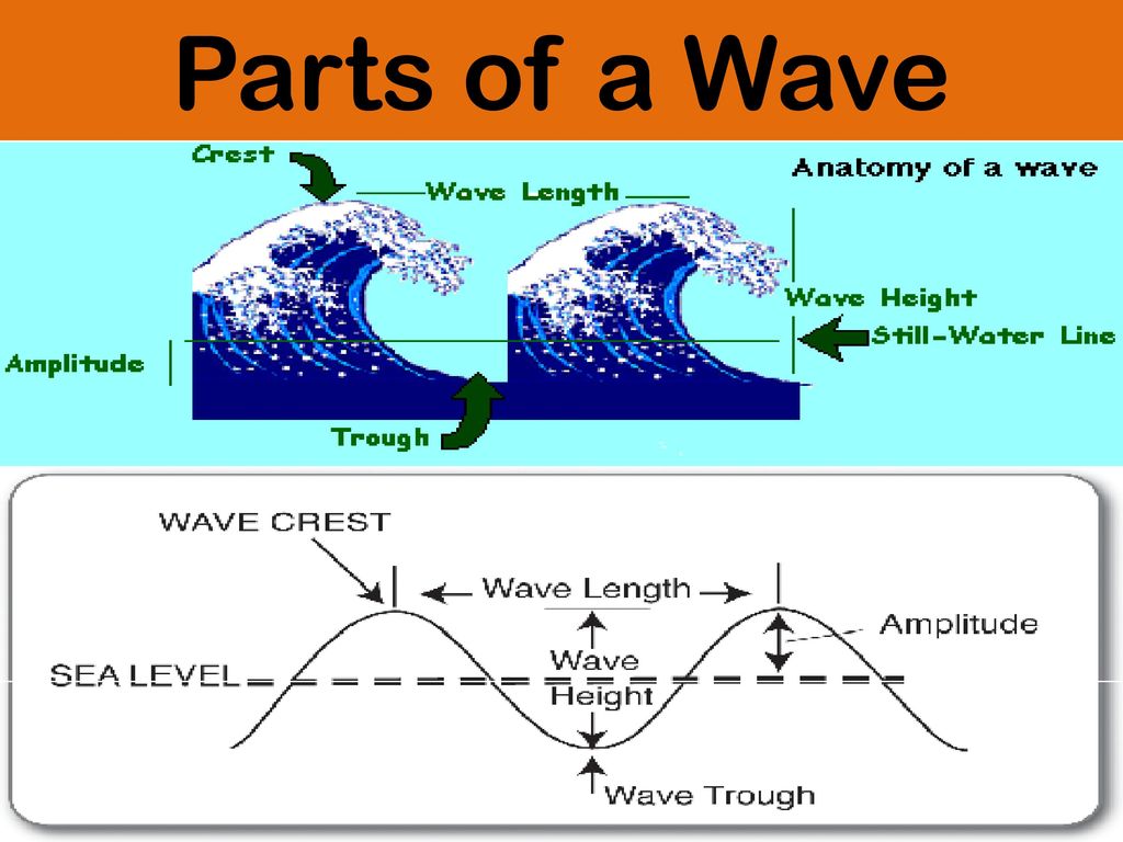 Waves sound and light s8p4 students will explore the wave nature of