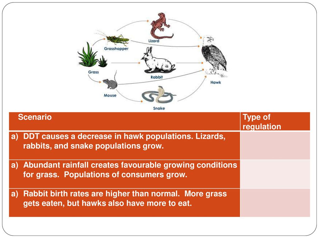 Interactions Among Species   ppt download