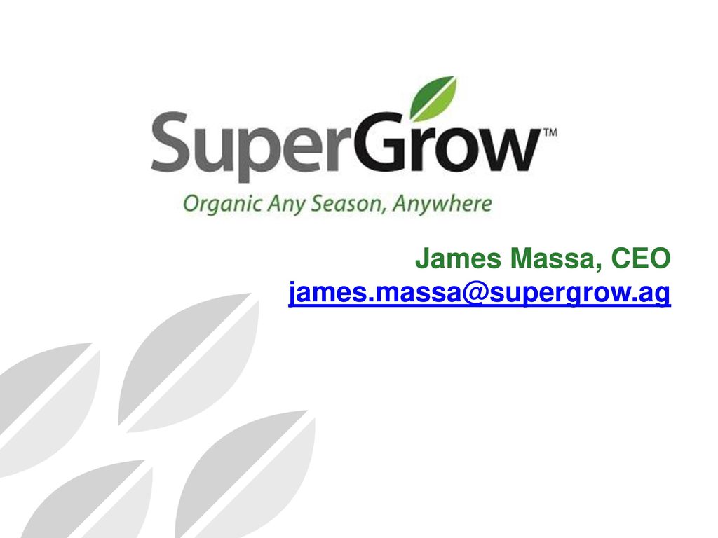 James Massa, CEO