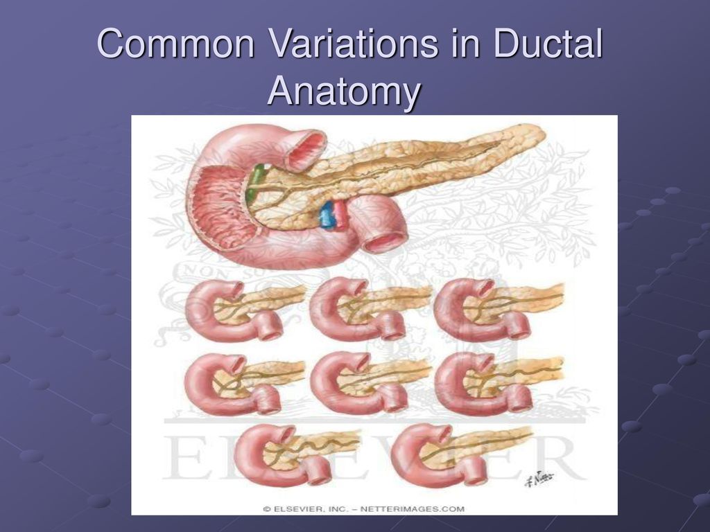 Common Variations in Ductal Anatomy