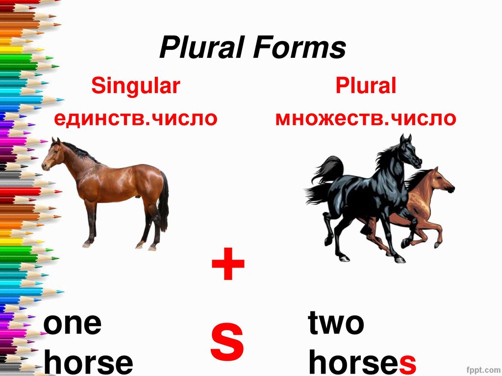 Wolf множественное число. Лошадь на английском языке. Английская лошадь. Horse во множественном числе. Слова на английском лошадь.