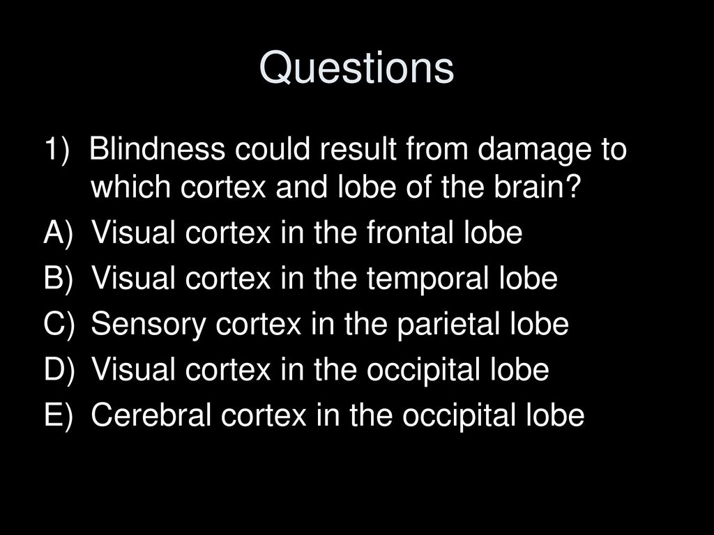 Stroke Localization Symptoms Ms 2019