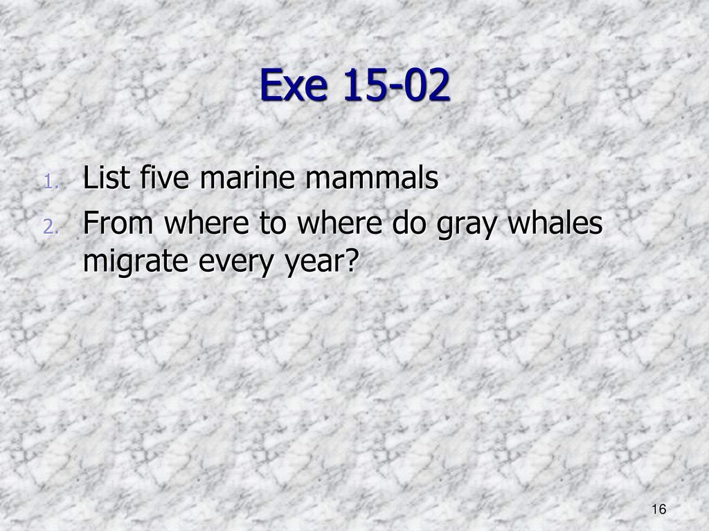 CHAPTER 14 & 15 Animals in Ocean by Dr. C. Dong - ppt download