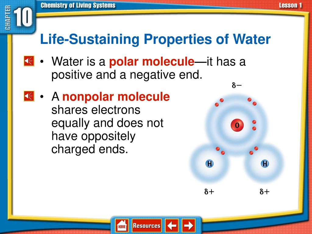 Chapter Menu Lesson 1 Chemistry Of Life Lesson 2 Carbon Compounds Ppt Download