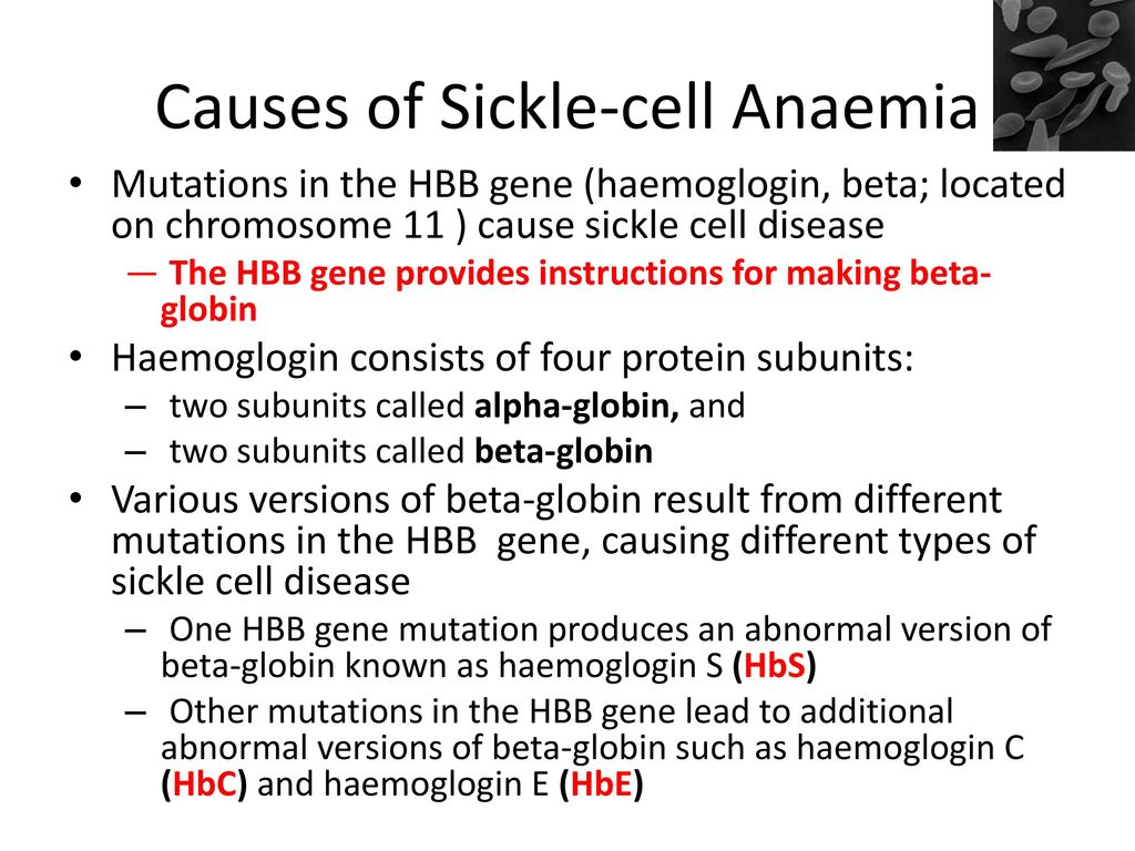 inheritance…1 albinism and sickle cell anaemia. - ppt download