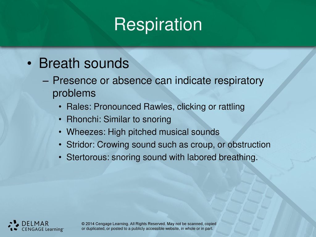 Vital Signs and Measurements - ppt download