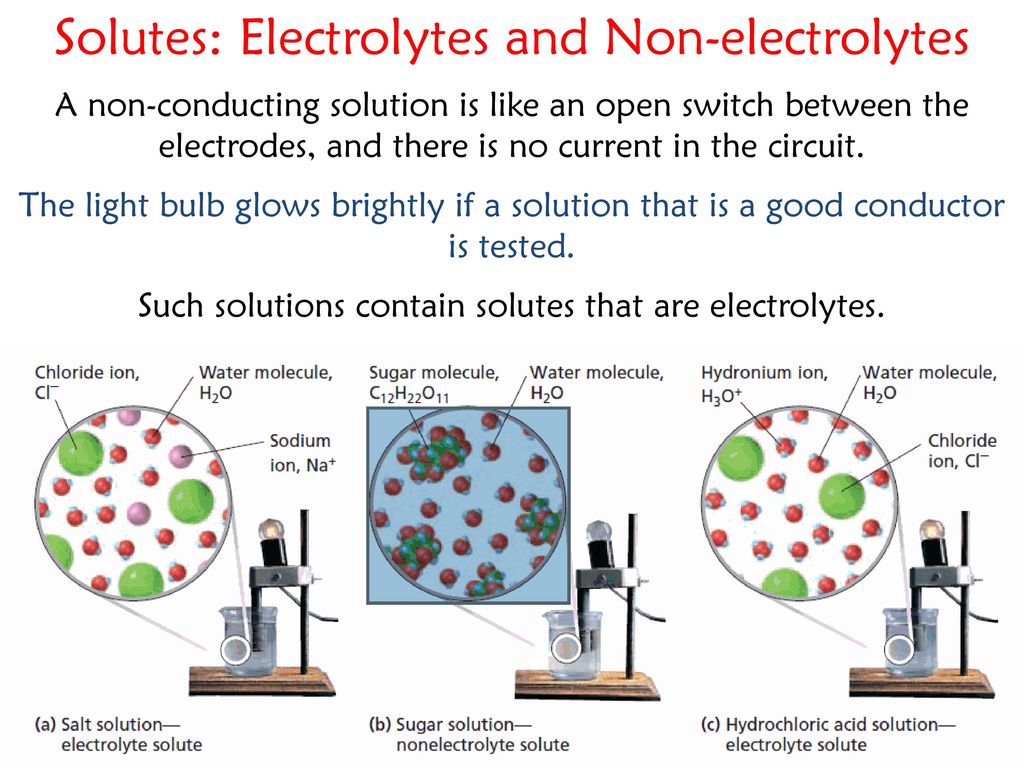 Solutes Electrolytes And Non electrolytes Ppt Download solutes-electrolytes-and-non-electrolytes-ppt-download