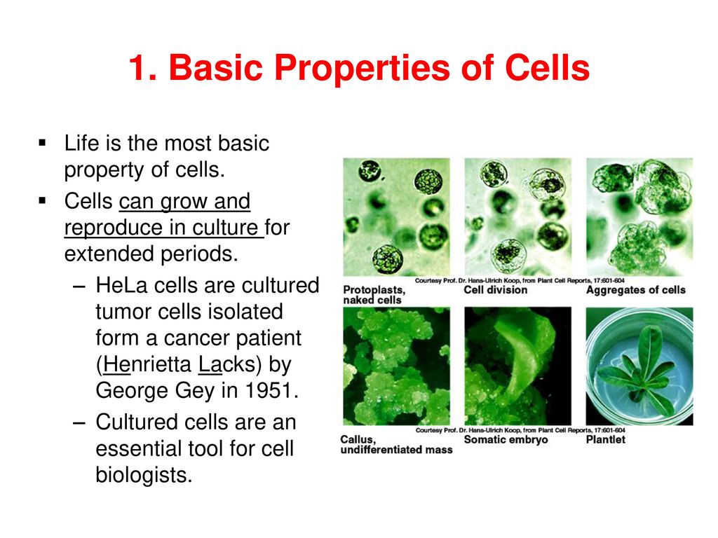1. Basic Properties of Cells
