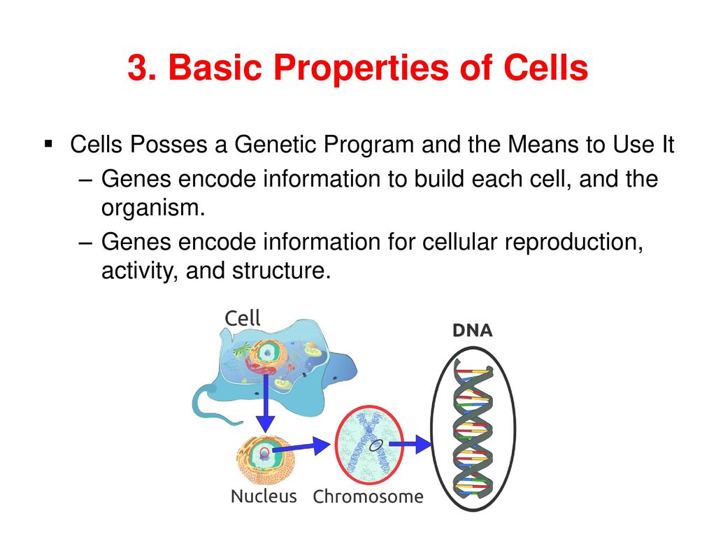 3. Basic Properties of Cells