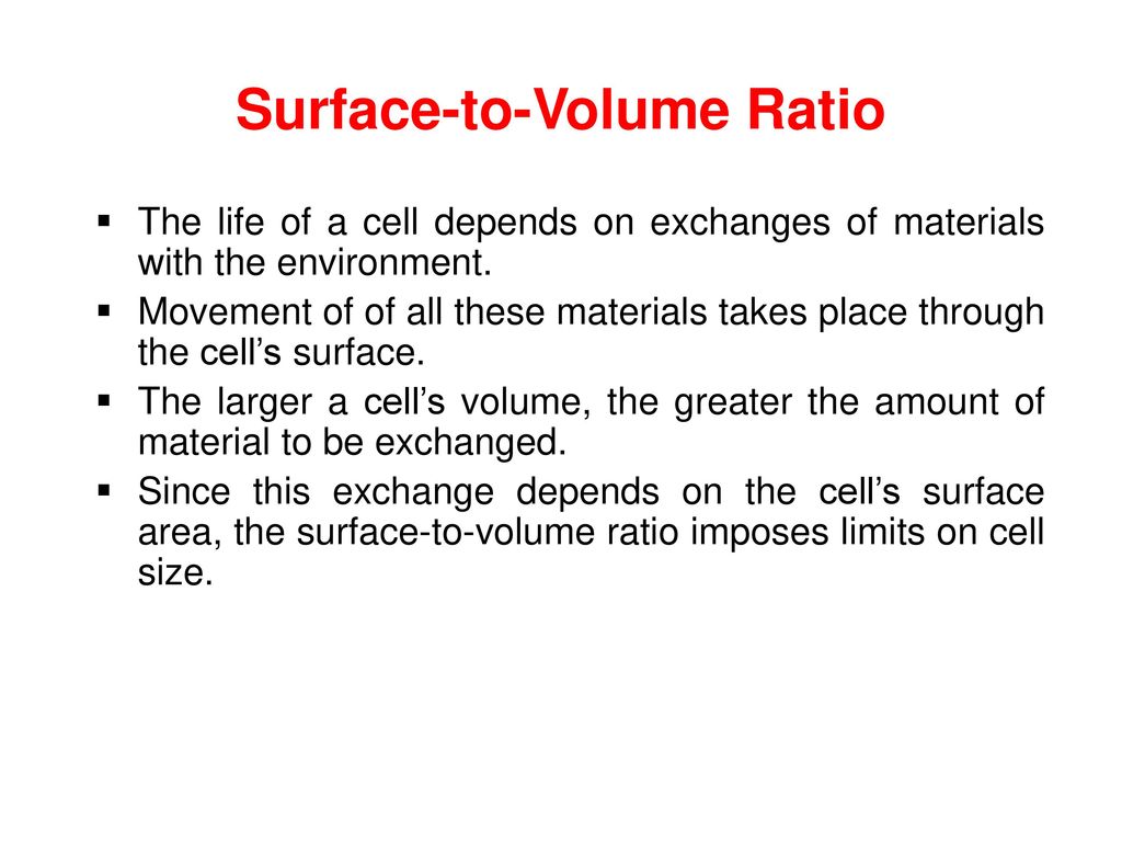 Surface-to-Volume Ratio