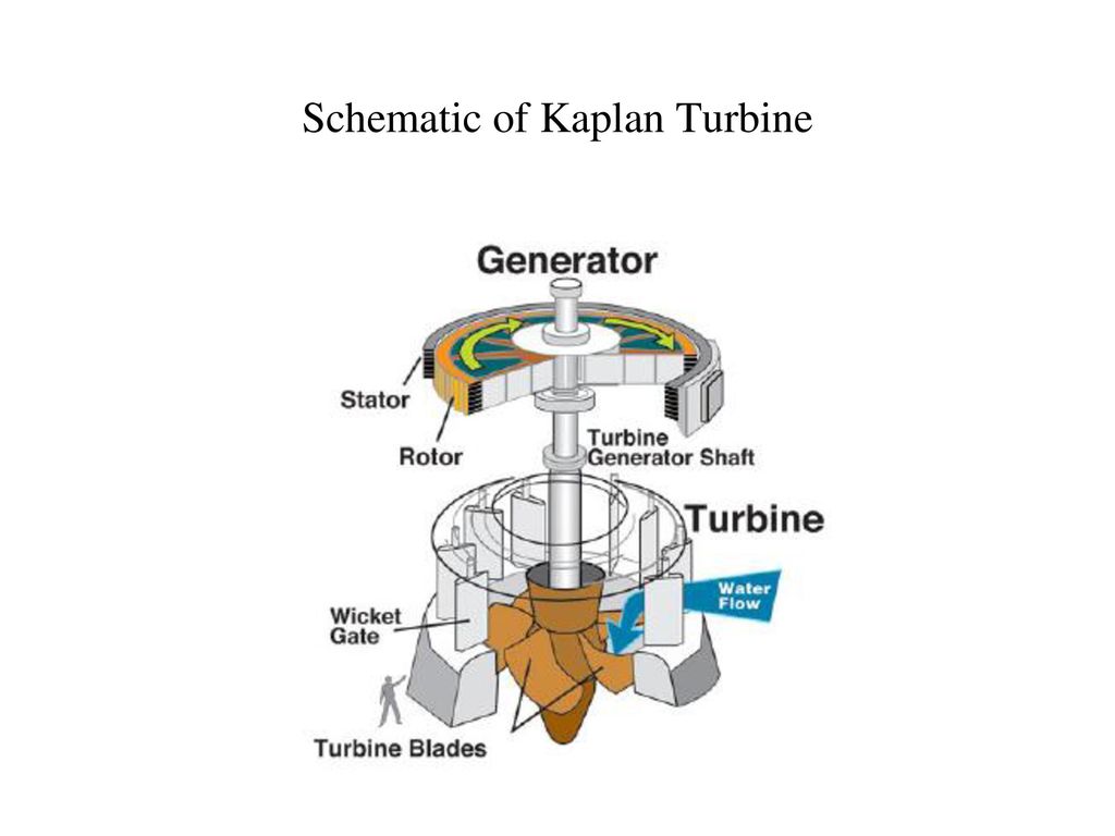 Propeller and Kaplan Turbines