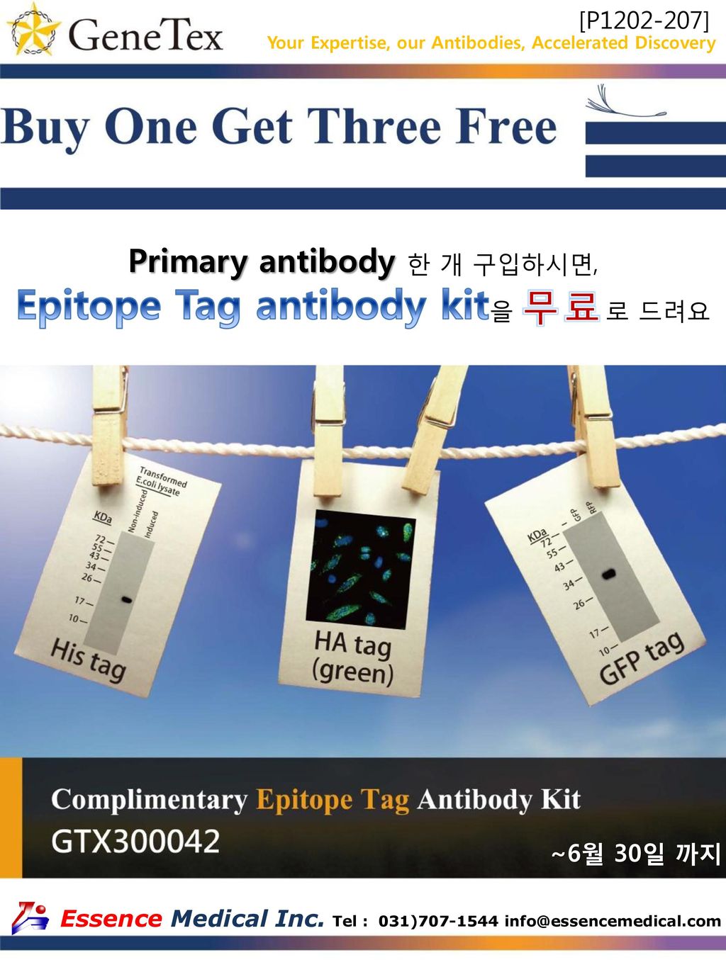 Epitope Tag Antibody Kit을 무료로 드려요 Ppt Download
