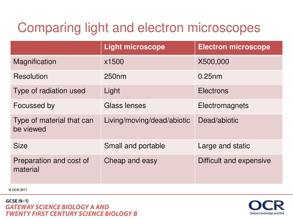how are light microscopes and electron microscopes different