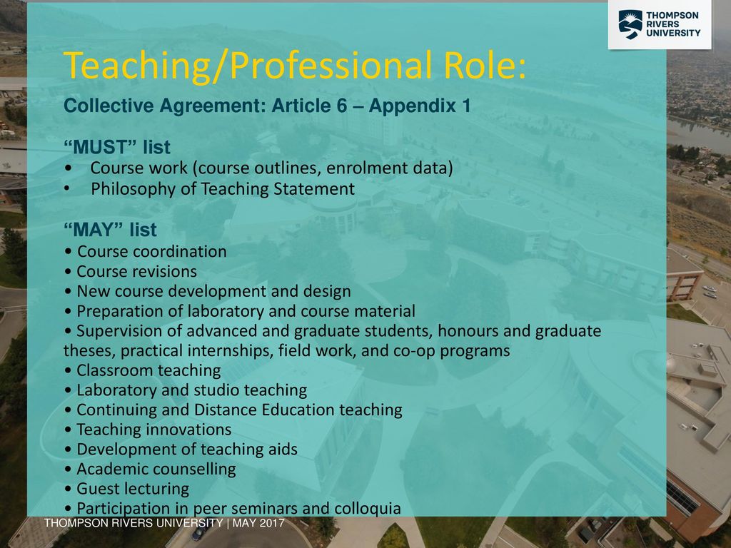 Teaching/Professional Role: