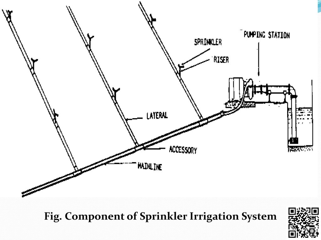 Fire Sprinkler System Structure Fire Fire Department, PNG, 531x561px, Fire Sprinkler  System, Drawing, Fire, Fire Department,