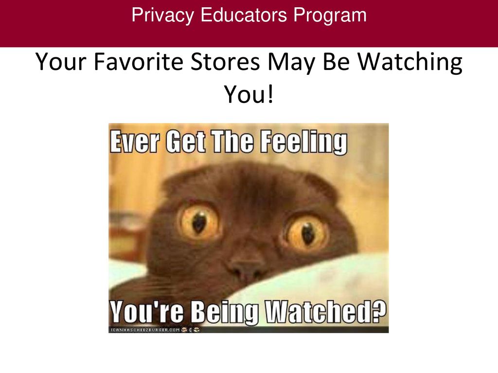Your Favorite Stores May Be Watching You!