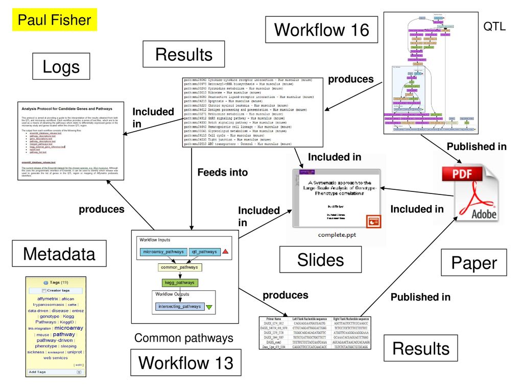 Workflow 16 Results Logs Metadata Slides Paper Results Workflow 13