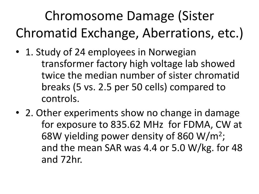 Chromosome Damage (Sister Chromatid Exchange, Aberrations, etc.)