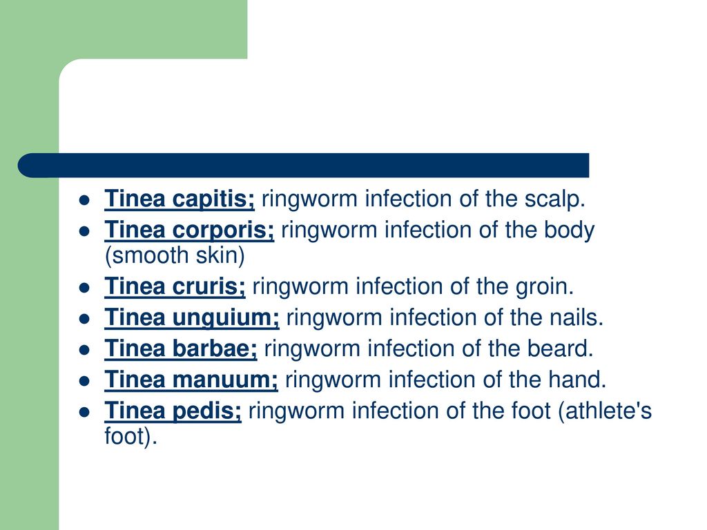 Fungal Infection of the Skin - ppt download