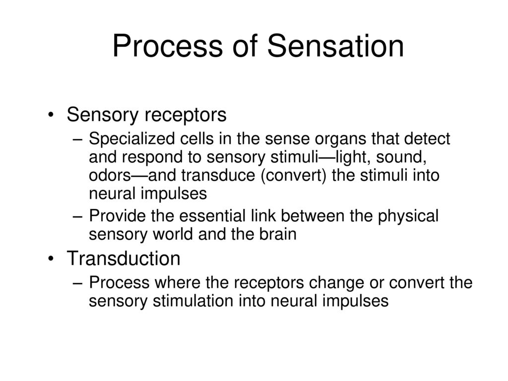 Process of Sensation Sensory receptors Transduction
