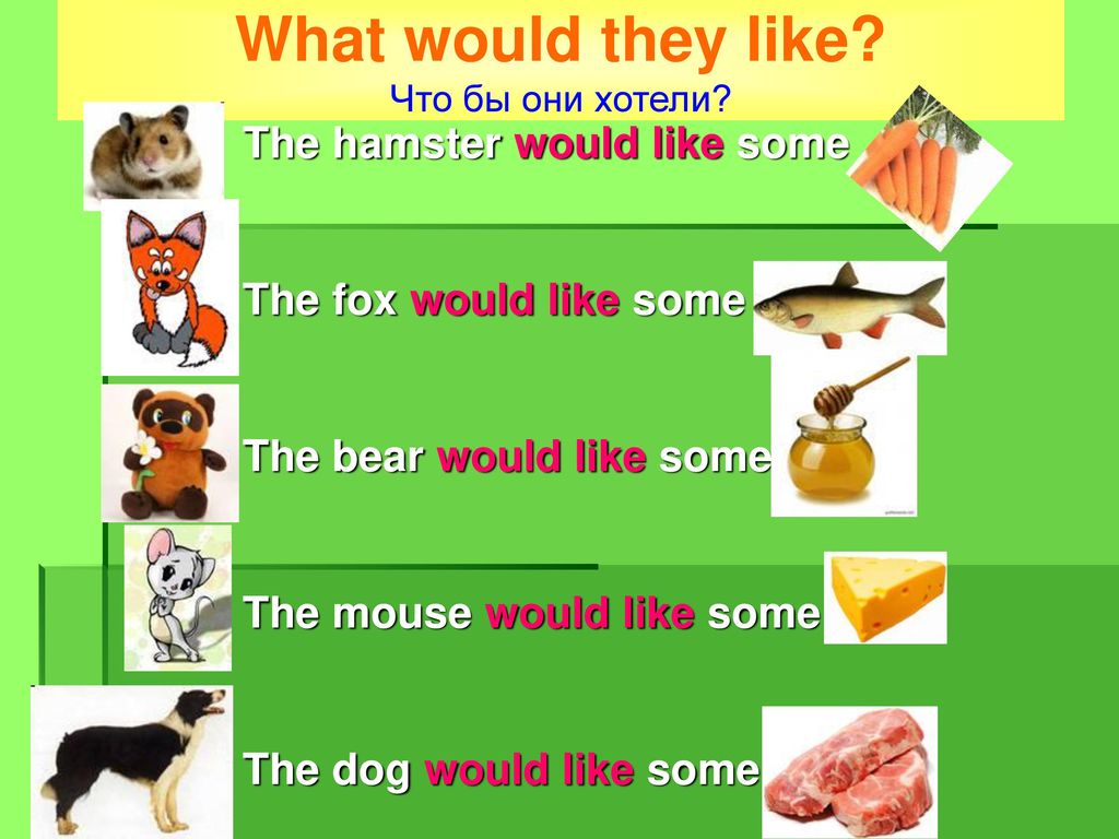 Would you like some toast. Would like. Will Dog. Would you like some. Little Mice little Mice would you like a piece of Ice.