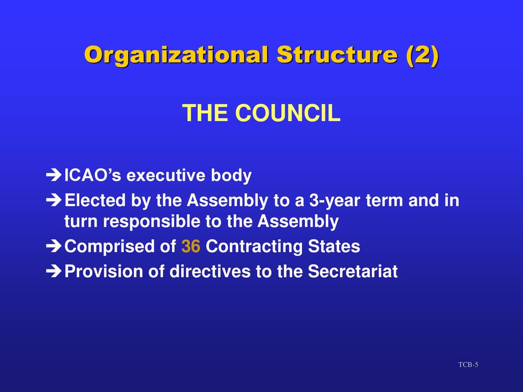 Organizational Structure (2)