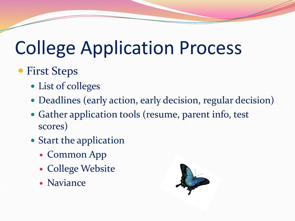 Navigating your senior year successfully - ppt download