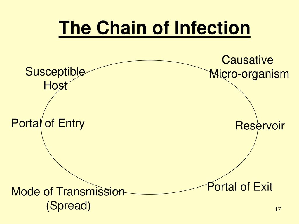 INFECTION CONTROL. - ppt download