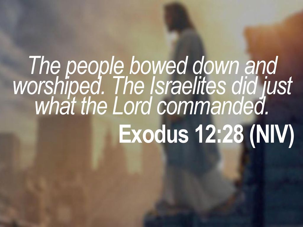 The people bowed down and worshiped