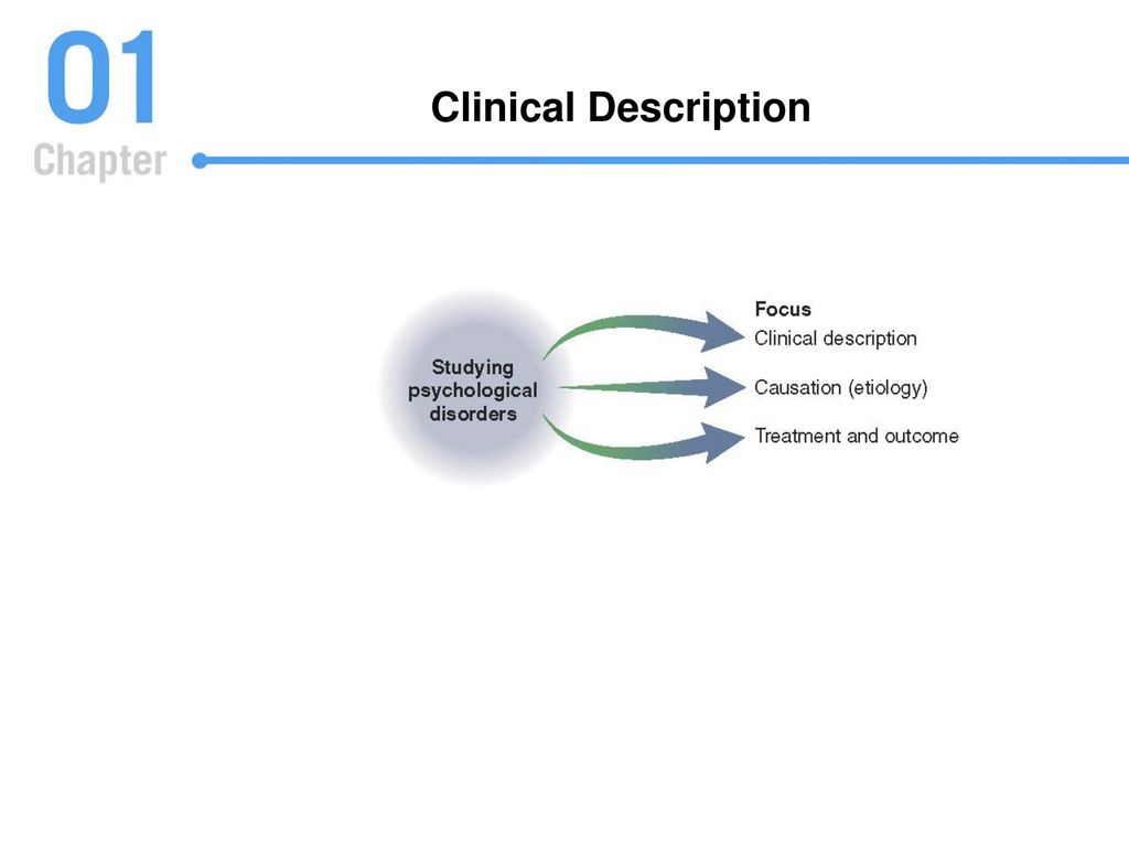 Clinical Description FIGURE 1.3 Three major categories make up the study and discussion.