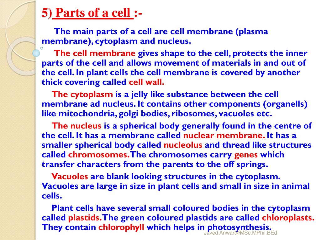 5) Parts of a cell :- The main parts of a cell are cell membrane (plasma membrane), cytoplasm and nucleus.