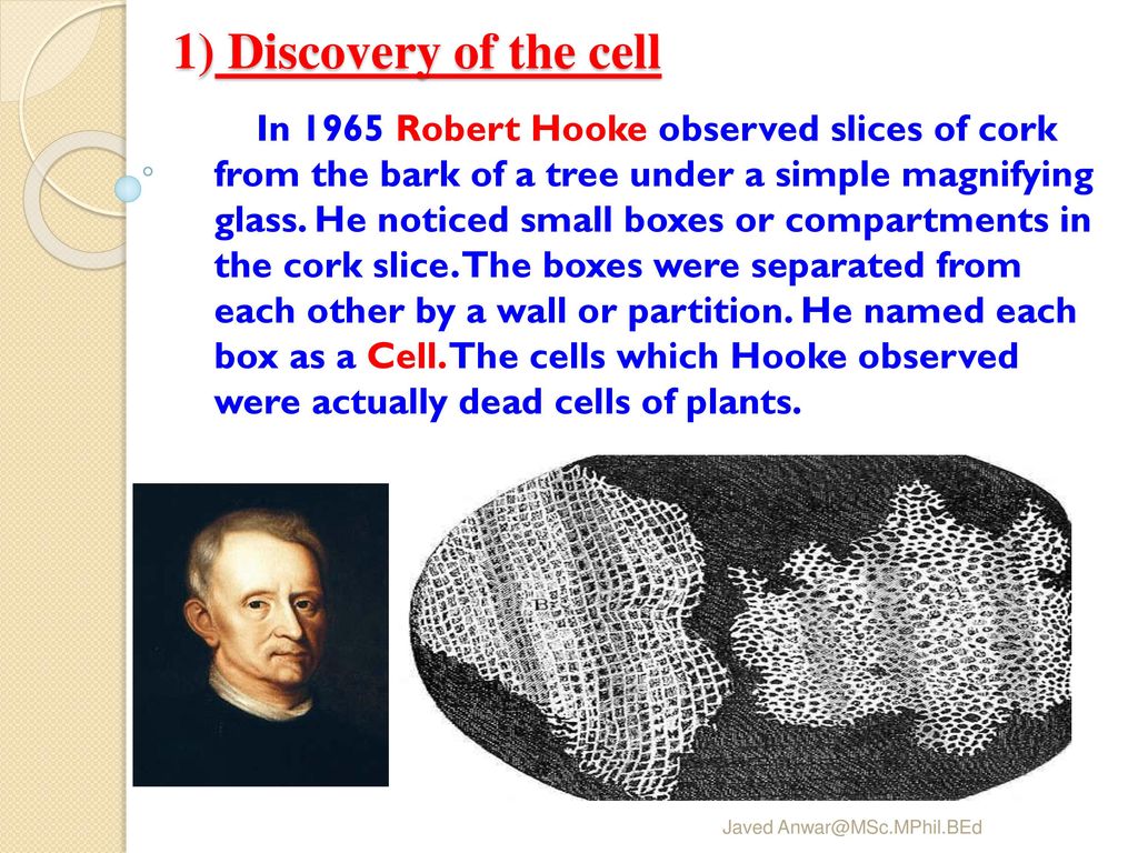 1) Discovery of the cell