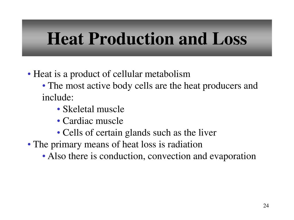 Heat Production and Loss