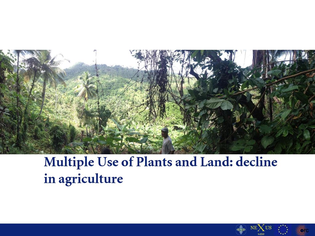 Multiple Use of Plants and Land: decline in agriculture