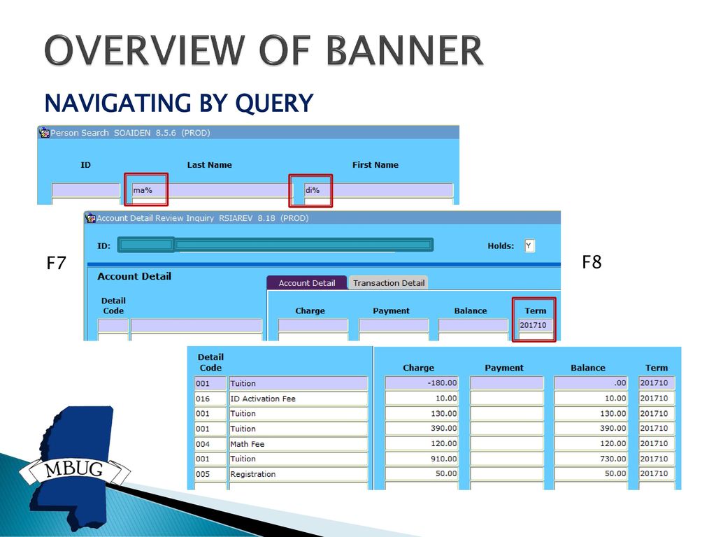 OVERVIEW OF BANNER NAVIGATING BY QUERY F7 F8