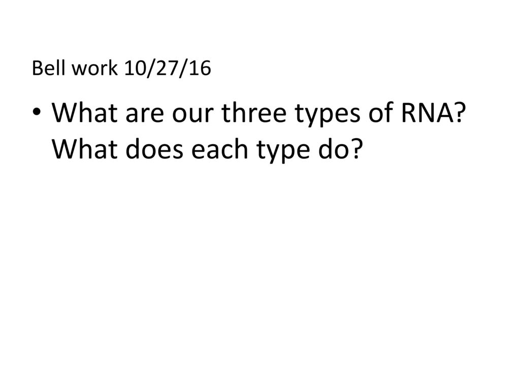 What are our three types of RNA What does each type do