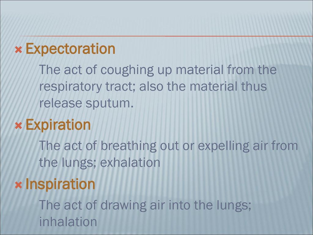 the respiratory system - ppt download