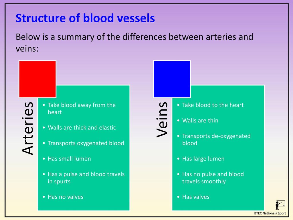 Unit 1 - Anatomy and Physiology - ppt download