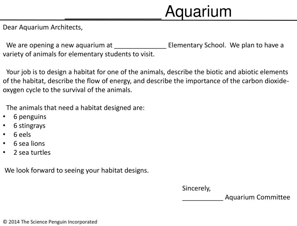 83 Aquarium Habitat Design Gratis Terbaru