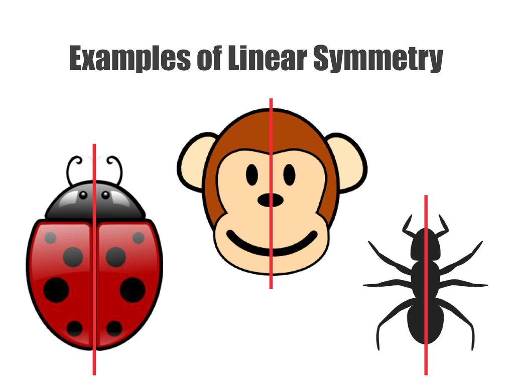 Examples of Linear Symmetry