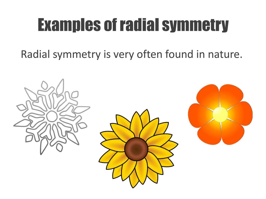 Examples of radial symmetry