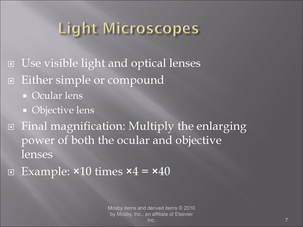 Chapter 1 Scope of Microbiology - ppt download