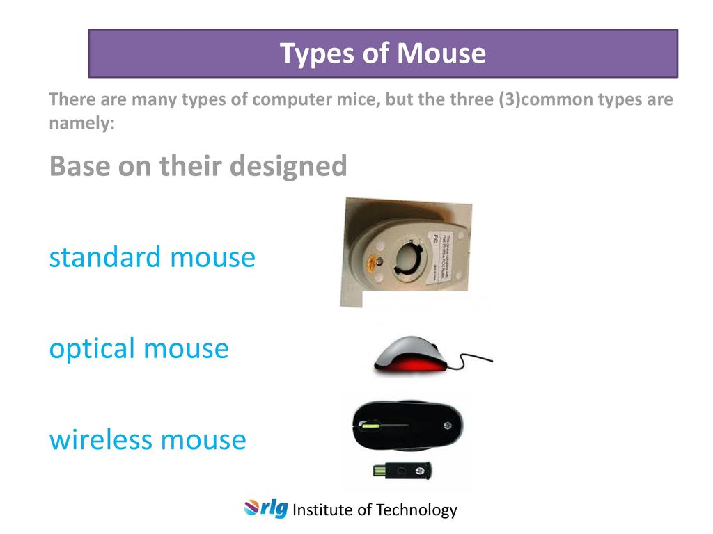 how many types of mouse are there