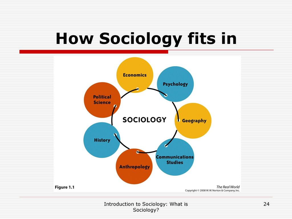 Sociology study. History of Sociology. What is Sociology. Sociology tasks. Sociology and political Sciences.