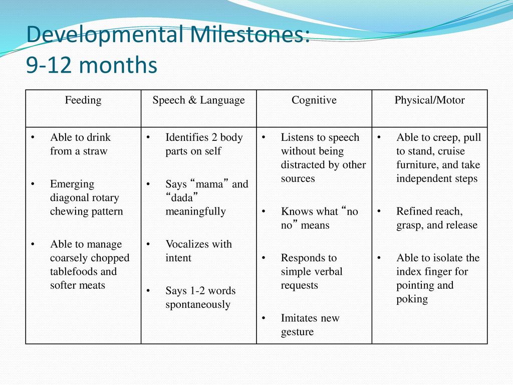 9 Month Developmental Milestones Chart