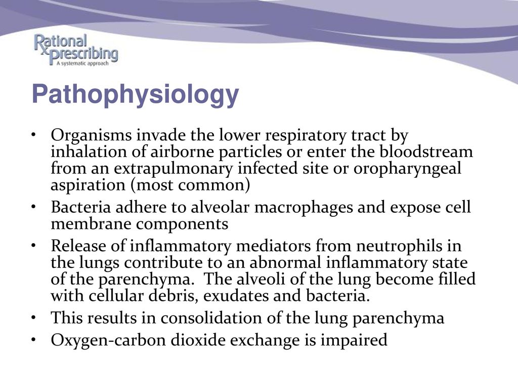 In-Class Presentation: Antibiotics module - ppt download